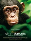 CHIMPANZES
