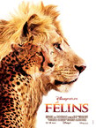 FELINS