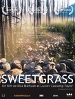 SWEETGRASS