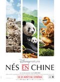 Ns en Chine