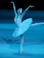 LE LAC DES CYGNES
