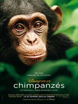 CHIMPANZES