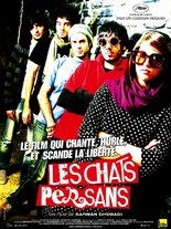 LES CHATS PERSANS