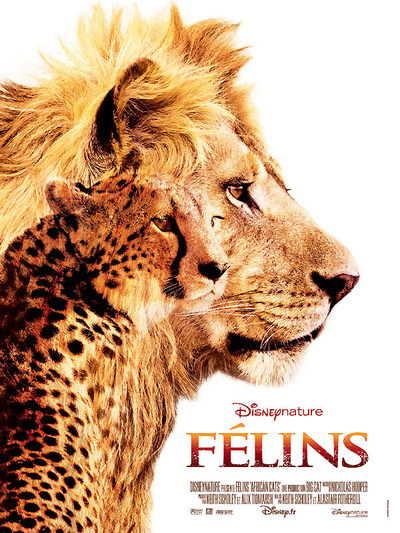 FELINS