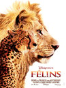 FELINS