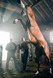 Photo 2 pour CHEVAL DE GUERRE