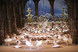 Photo 1 pour LE CORSAIRE (PATHE LIVE)