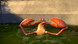 Photo 2 pour SAMMY 2 EN 3D