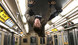 Photo 1 pour THE AMAZING SPIDER-MAN