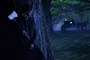 Photo 4 pour ABRAHAM LINCOLN : CHASSEURS DE VAMPIRES EN 3D