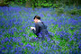 Photo 3 pour BRIGHT STAR