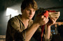 Photo 3 pour CHEVAL DE GUERRE