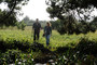 Photo 2 pour CORNOUAILLE