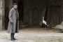 Photo 1 pour FAUST