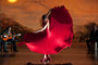Photo 2 pour FLAMENCO, FLAMENCO