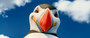 Photo 2 pour HAPPY FEET 2 EN 3D