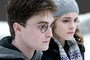 Photo 2 pour HARRY POTTER ET LE PRINCE DE SANG MELE