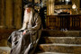 Photo 3 pour HARRY POTTER ET LE PRINCE DE SANG MELE