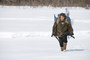 Photo 1 pour INTO THE WILD