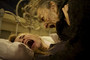 Photo 4 pour JUSQU'EN ENFER