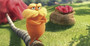 Photo 1 pour LE LORAX