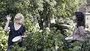 Photo 4 pour MELANCHOLIA