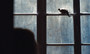 Photo 4 pour L'OISEAU