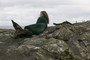 Photo 3 pour ONDINE