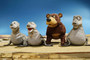 Photo 5 pour L'OURS ET LE MAGICIEN