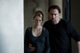 Photo 4 pour LE PACTE