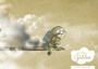 Photo 2 pour LE REVE DE GALILEO