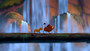 Photo 5 pour LE ROI LION