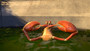 Photo 2 pour SAMMY 2 EN 3D