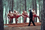 Photo 1 pour SUMO