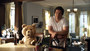 Photo 3 pour TED
