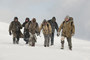 Photo 2 pour LE TERRITOIRE DES LOUPS