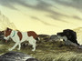 Photo 1 pour THE PLAGUE DOGS
