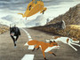 Photo 3 pour THE PLAGUE DOGS