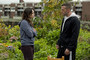 Photo 4 pour THE TOWN