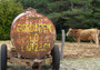 Photo 1 pour TOUS AU LARZAC