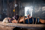 Photo 5 pour TUCKER & DALE FIGHTENT LE MAL