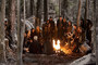 Photo 3 pour TWILIGHT CHAPITRE 5 : REVELATION - PARTIE 2