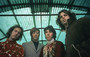 Photo 2 pour WHEN YOU'RE STRANGE, A MOVIE ABOUT THE DOORS