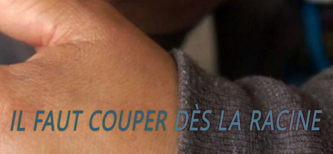 Photo du film Il faut couper dès la racine