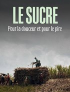 Le sucre, pour la douceur et pour le pire