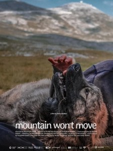 The Mountain Won't Move