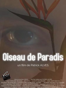 OISEAU DE PARADIS