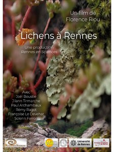 Lichens à Rennes