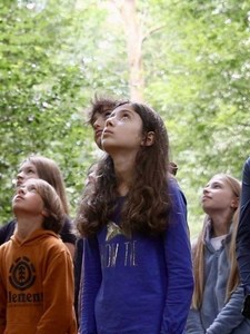 Barons et baronnes perchées