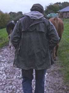 Violence dans les champs